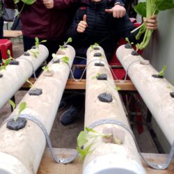 Taller de Huerta: Aprendizajes que florecen
