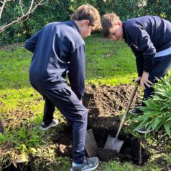 Celebración del Día del Ambiente en la huerta escolar 🌱🌍
